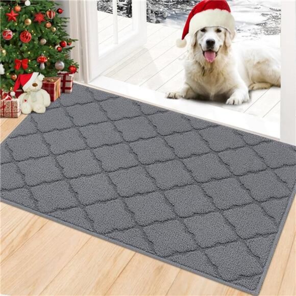 Indoor Doormat, Front Door Mat 20"x32"Absorbent Rubber Backing Non Slip Door Mat - Picture 1 of 7